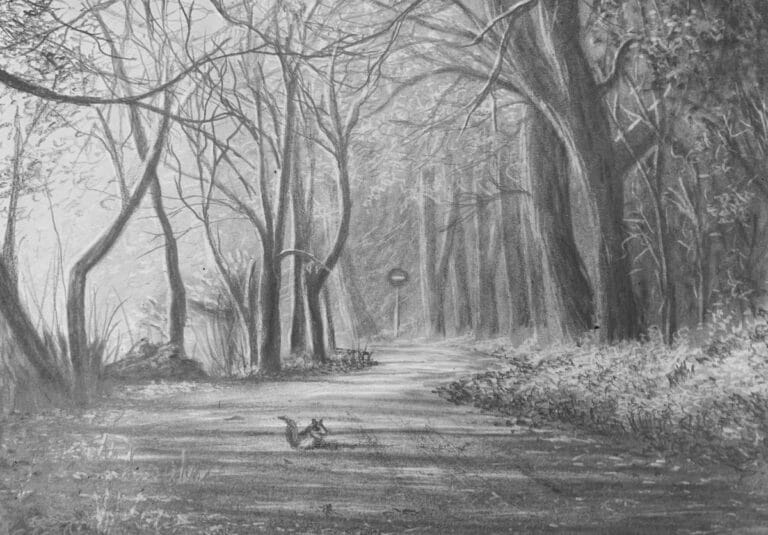 Drawing a Path in a Forest