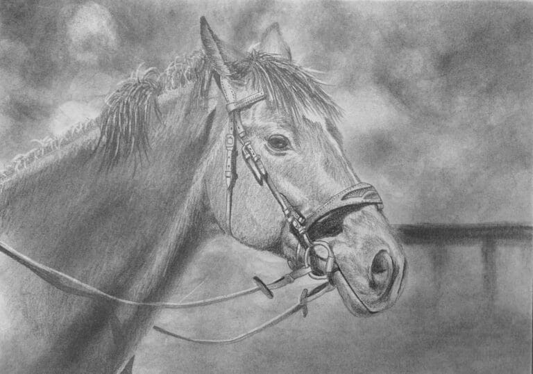 How to Draw a Horse