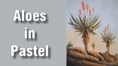 How to Draw Aloes in Pastel