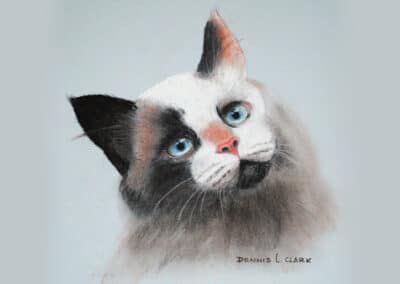 How to Draw a Cat in Pastel
