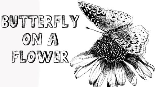 Draw a Butterfly on a Flower