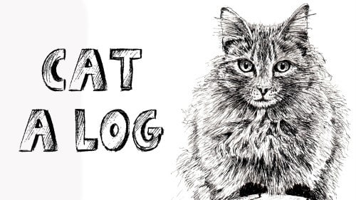 How to Draw a Cat on a Log in Pen and Ink