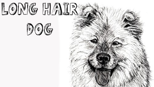 How to Draw a Long Haired Dog in Pen and Ink