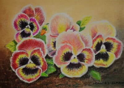 How to Draw Pansy Flowers in Pastel