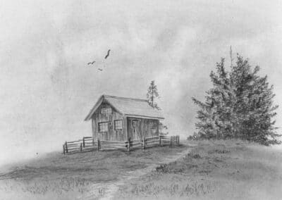 How to Draw Trees & Grass