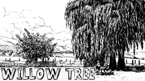 How to Draw a Willow Tree in Pen & Ink