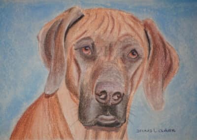 How to Draw a Dog Portrait in Pastel