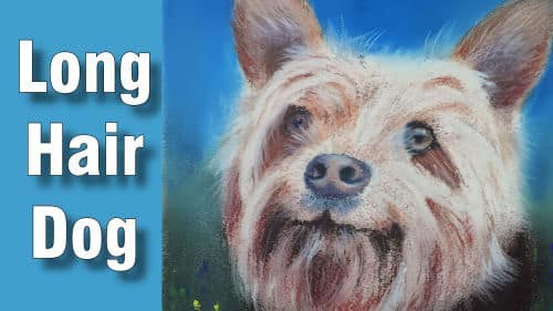 How to Draw a Long Hair Dog in Pastel