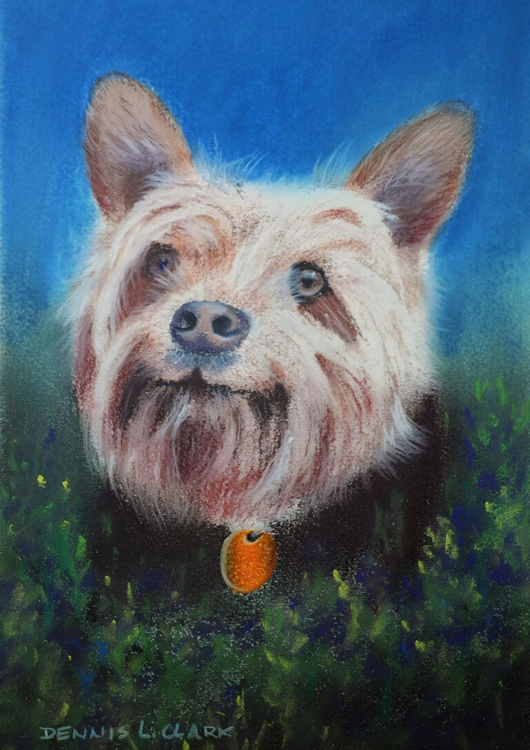 How to Draw a Long Hair Dog in Pastel