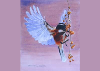 How to Paint a Warbler in Watercolor