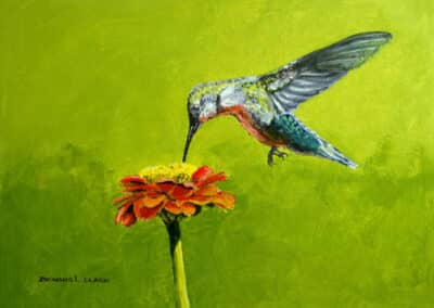 Paint a Hummingbird in Acrylic