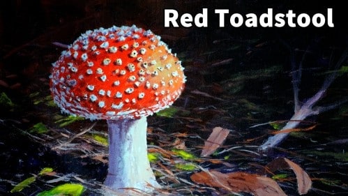 How to Paint a Red Toadstool in Acrylic