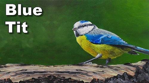 How to Paint Birds in Oil – Blue Tit