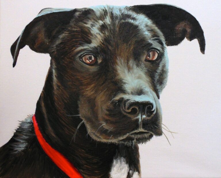 How to Paint Black Hair Animals (Dog)