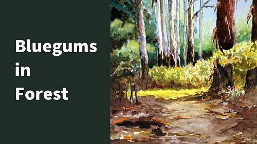 Paint Bluegum Trees in Watercolor