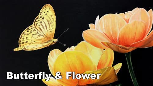 How to Paint a Butterfly & Flower in Oil