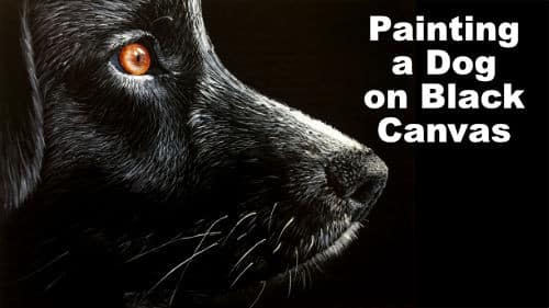 How to Paint a Dog on Black Canvas