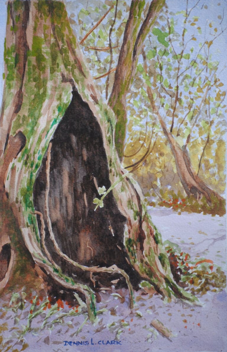 Paint Moss Covered Tree