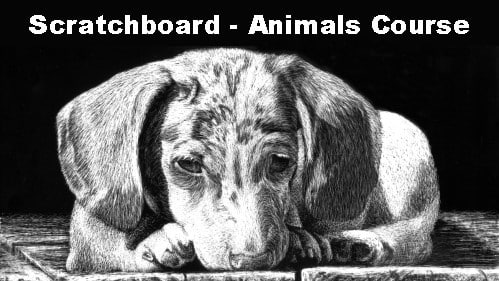 How to Scratchboard Animals Course